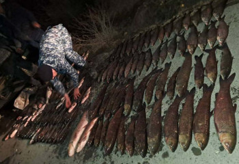 Трое кызылординцев задержаны за незаконную добычу рыбы
