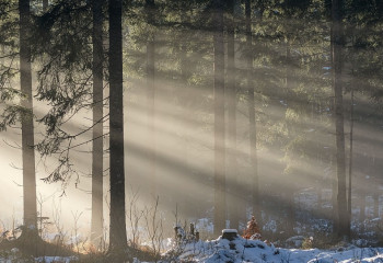 Синоптики рассказали о погоде в Казахстане на 11 ноября