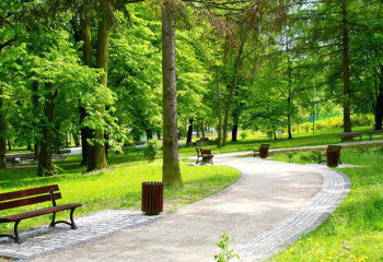 Семей қаласында жаңа саябақ салынады