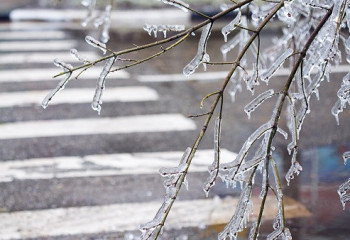 Бүгін көктайғақ болып, жел күшейеді