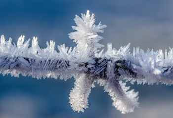 Алдағы күндері 20 градусқа дейін аяз болады