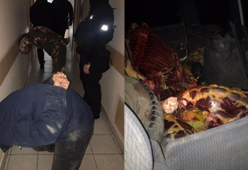 БҚО-да мал ұрлығымен айналысқан қылмыстық топ ұсталды