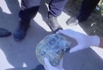 Шымкентте ірі мөлшерде синтетикалық есірткі сақтаған ер адам ұсталды