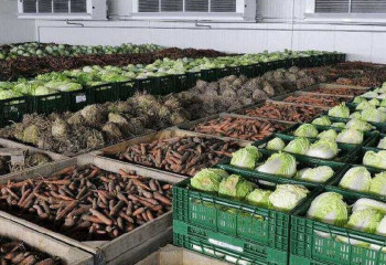 В 10 раз больше урожая собрали в Павлодарской области