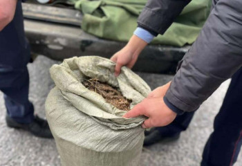 Свыше 20 кг марихуаны изъяли у водителя в Туркестанской области