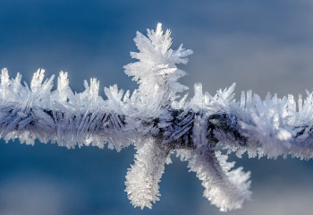 Алдағы күндері қарлы бұрқасын соғып, 22 градусқа дейін аяз болады