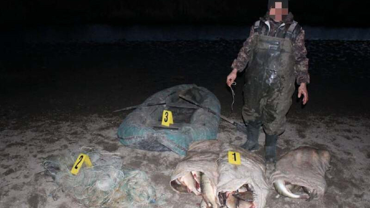 Больше 160 случаев браконьерства выявили в области Абай