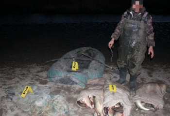 Больше 160 случаев браконьерства выявили в области Абай