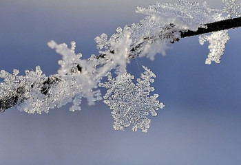 17 қарашаға арналған ауа райы болжамы