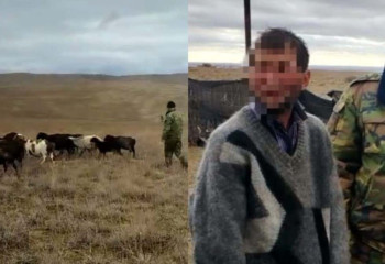 Қолайсыз ауа райында жоғалып кеткен шопан мен бір отар қой табылды