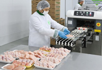 СҚО-да 100 мыңнан астам адамды етпен қамтитын құс фабрикасы ашылды