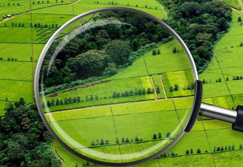 Биыл 10 миллион гектар жер мемлекетке қайтарылады