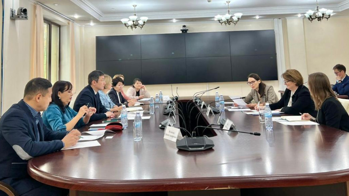 Султангазиев провел встречу с Послом Великобритании по вопросам поставок вакцин