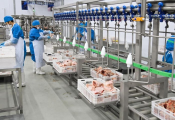 Птицефабрика стоимостью 5 млрд тенге заработала в Казахстане