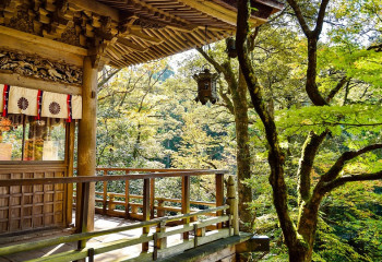 Жапон халқының қанатты сөздері