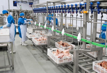 Елімізде құны 5 млрд теңге болатын жаңа құс фабрикасы іске қосылды