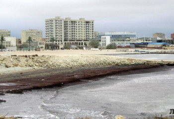 В бурый цвет окрасился Каспий в Актау
