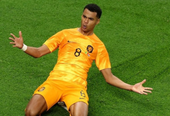 Футболдан ӘЧ: Нидерланды құрамасы Сенегалды жеңді