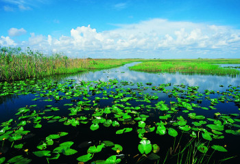 Ауыл шаруашылығын сумен қамту жыл сайын қиындап барады