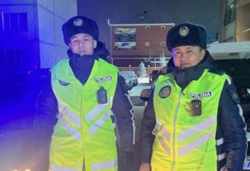 Операцию по спасению котенка провели в Костанайской области