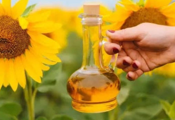 Күнбағыс майы өндірісі бір жылда 50%-ға жуық өскен