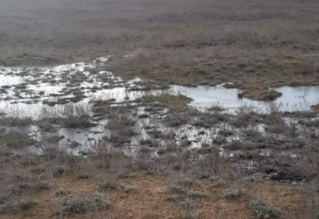 Атырау облысында мұнай өнімдері төгілді