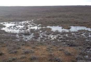 Разлитые в степи нефтепродукты обнаружили в Атырауской области