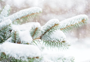 43 градусқа дейін аяз болады - Қазгидромет