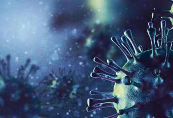 В Казахстане установлена циркуляция штамма «Цербер»