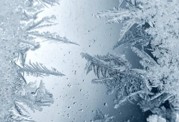 Школьников Астаны отправили на дистанционку