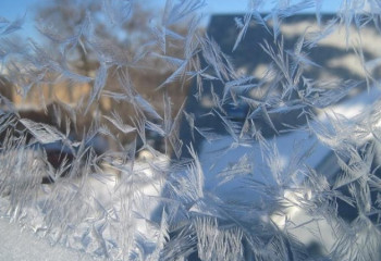 Ертең мектеп оқушылары мен колледж студенттері онлайн оқиды