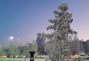 В Астане школьников и студентов колледжей отправили на дистанционку