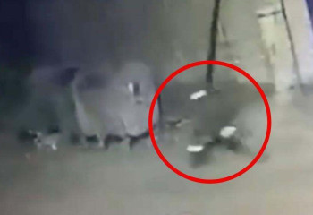 В Атырау автоугонщик спрятался от полиции в мусорном баке