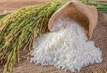 Қазақстан күрішті қай елдерге экспорттайды?