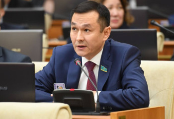 Произошедшее в Экибастузе это отказ всей системы – депутаты