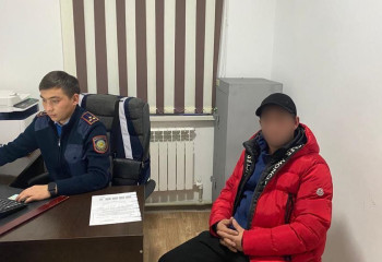 Жетісу облысында аюмен суретке түскен адам ұсталды