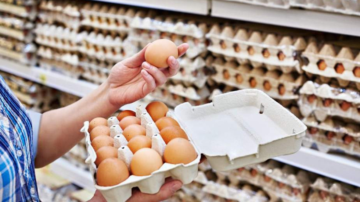 Золотые яйца: начато расследование в отношении птицефабрики в Костанайской области