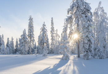 Алдағы демалыс күндеріне арналған ауа райы болжамы