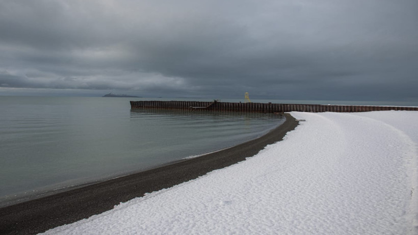  Марат Амиров 