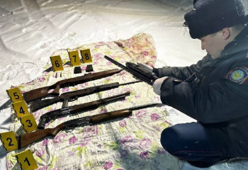 Схрон с оружием нашли в Алматинской области