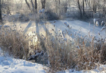 Семей қаласындағы үйлерді су басты