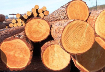 Елден ағаш материалдарын шығаруға тыйым салынды