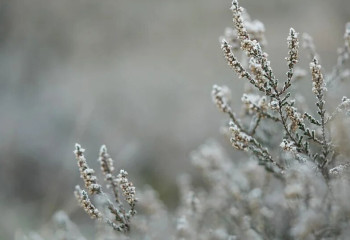 Ауа райына байланысты бірнеше өңірде ескерту жарияланды