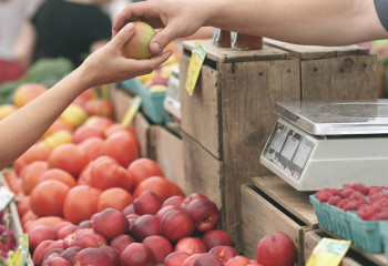 Бір жылда азық-түлік бағасы 24,1  пайызға қымбаттады