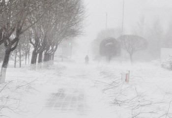 Штормовое предупреждение объявили сразу в нескольких областях Казахстана