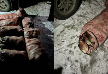 Браконьера с 400 килограммами леща задержали в ВКО