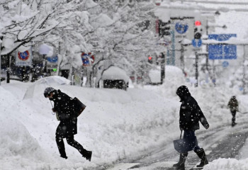В Японии тысячи домов остались без электричества