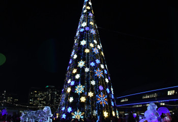 Фоторепортаж: в Астане зажгли новогоднюю елку