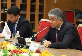 В Казахстане отпразднуют 30-летие Международной организации тюркской культуры