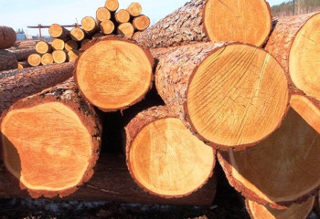 Елден ағаш материалдарын шығаруға тыйым салынды